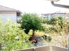 DSC02038.JPG