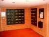 DSC02049.JPG