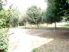 DSC02050.JPG