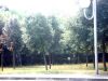 DSC02052.JPG