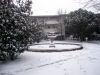 DSC02561.JPG