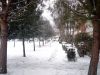 DSC02563.JPG
