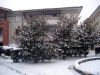 DSC02566.JPG