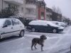 DSC02578.JPG